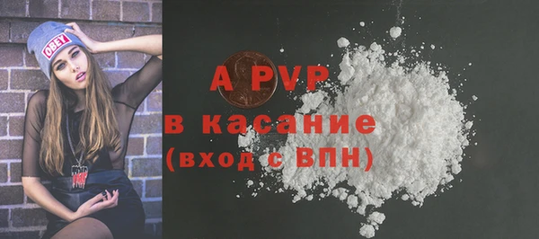 твердый Абаза