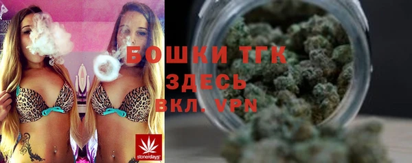 твердый Абаза