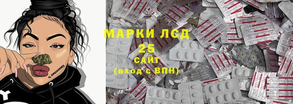 СК Алексин